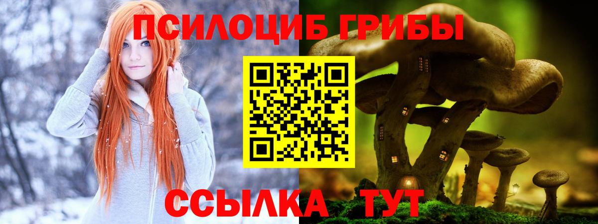 Псилоцибиновые грибы MAGIC MUSHROOMS Александров